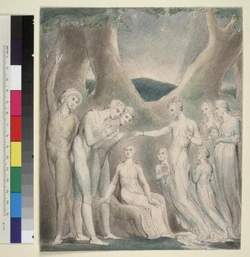 Illustration 7 to Milton's "Comus": Sabrina Disenchanting the Lady