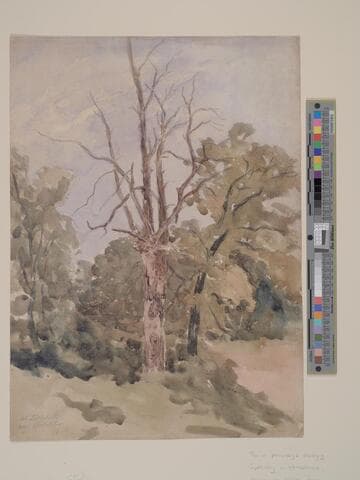 Trothill, near Spetchley