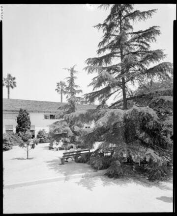 Trees and buildings, Polytechnic Elementary School, 1030 East California, Pasadena. May 23, 1941