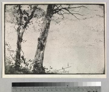 "The Diving Board" etching by Blanding Sloan