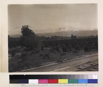 View of Huntington residence from Huntington Drive, circa 1911