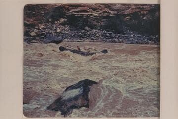 Hatch's boloney "Millepede" In Vulcan Rapid