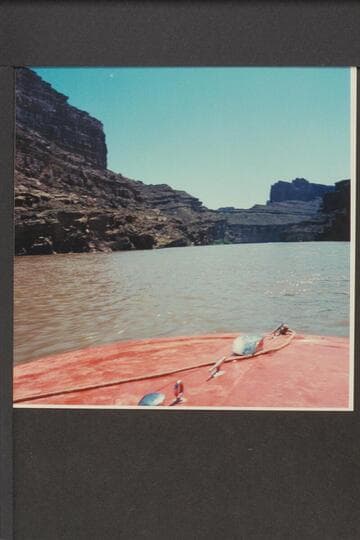 The saddle in The Loop