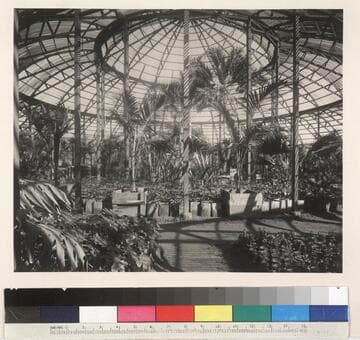 Interior of the lath house on the San Marino ranch