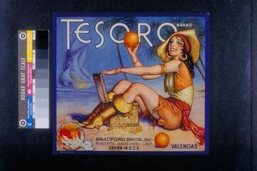 Tesoro brand