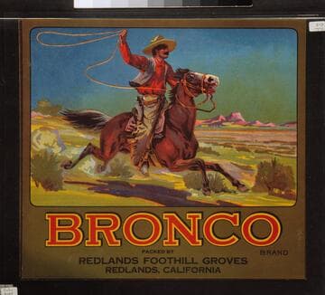 Bronco brand