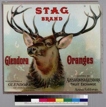 Stag brand