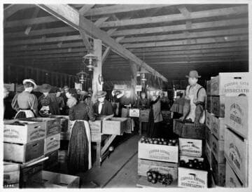 Packing house, Covina Citrus Association