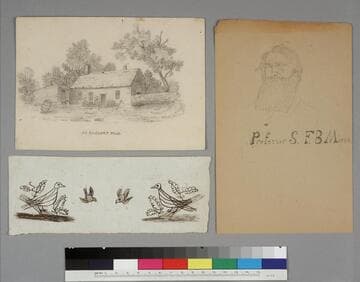 Set of three original drawings