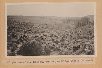 All you see of the 4,000 ft. deep abyss of the Little Colorado