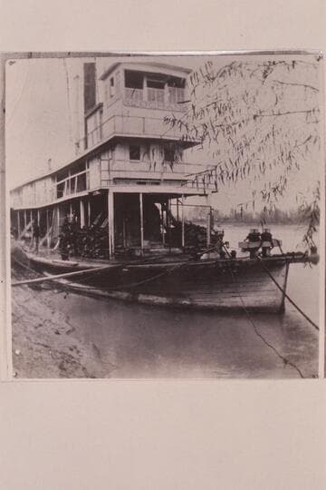 The steamer "Cochan"