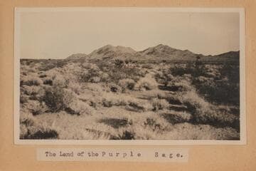 The land of the Purple Sage