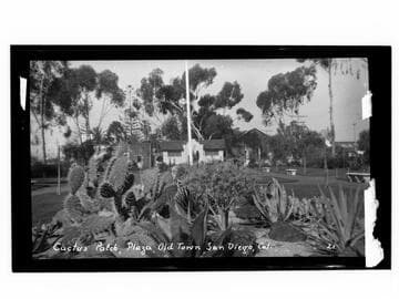 Cactus Patch Plaza, Old Town San Diego, Cal