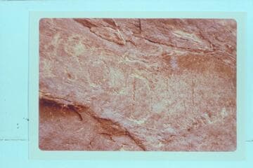 The inscription: 1836, D. Julien. Mile 185.75 left bank