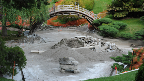 The Japanese Garden pond drained while crews cut and remove 1912 concrete. The Japanese Garden pond drained while crews cut and remove 1912 concrete.