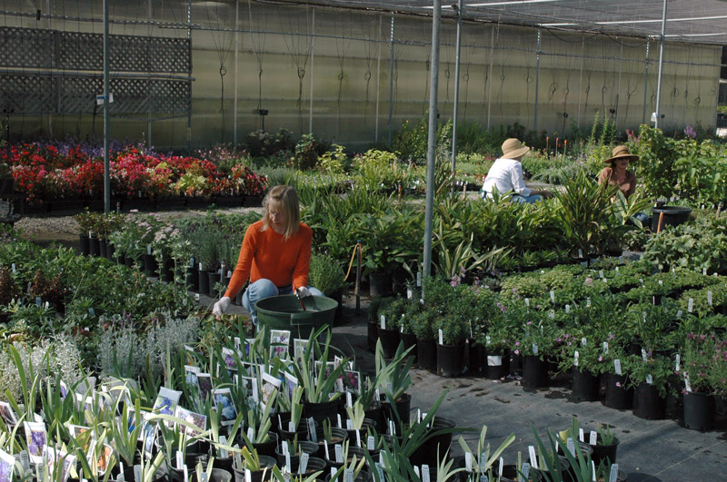 Huntington volunteers getting ready for the sale. Photo by Lisa Blackburn. Huntington volunteers getting ready for the sale. Photo by Lisa Blackburn.